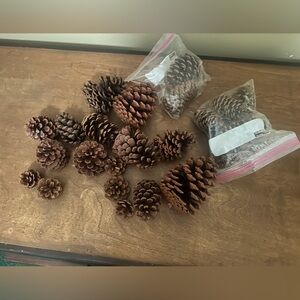Natural Brown Pine Cones for Home Decor